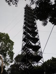 37m高的Canopy Tower
IMG_3064