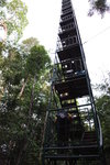 37m高的Canopy Tower
IMG_3071