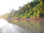 Tambopata 河
IMG_3108