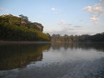 清晨的Tambopata 河
IMG_3114