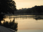 黃昏的Tambopata河
IMG_3491