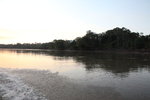黃昏的Tambopata河
IMG_3497