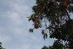 IMG_3833b
