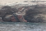 IMG_3948