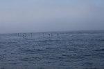 IMG_3953