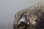 IMG_3957
