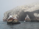 鳥島(Ballestas Island)
IMG_3957a