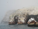 IMG_3958