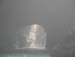 IMG_3976