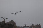 IMG_3978a
