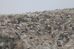 IMG_3984