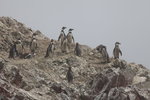 IMG_3985a
