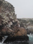 鳥島(Ballestas Island)
IMG_3986