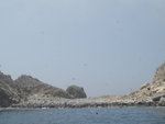 鳥島(Ballestas Island)
IMG_4095