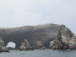 鳥島(Ballestas Island)
IMG_4110