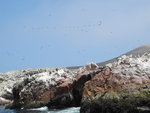 鳥島(Ballestas Island)
IMG_4128