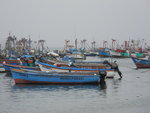 Paracas 海港
IMG_4348a