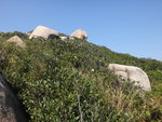 DSC02306