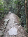 DSC02434