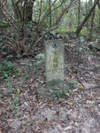 苗三古道經下苗田
DSC02436