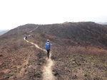 花瓶頂(278m)後走南路
DSC03324