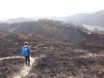 前望落山路
DSC03333