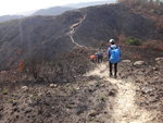 花瓶頂南路落山, 全是燒過的焦地
DSC03337