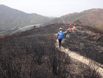 山路中途一個大右轉向西
DSC03348