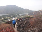 前望大山及竹篙灣公路
DSC03349