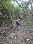 到渠尾無路打右穿林
DSC03367