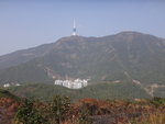 直升機坪遙望小梧桐
DSC03695