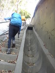 過鐵橋後原來可沿鐵絲網邊行至一鐵閘, 但因為建了一護土牆當路要上一大段石級
DSC03717
