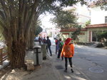DSC03908