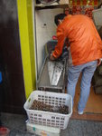 栗子機
DSC03912