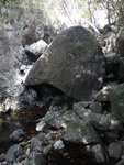 DSC03975
