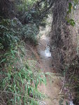小心濕腳
DSC04428