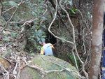 原來沿此澗上少少便見仁興17號礦洞
DSC04636