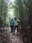 跨麥徑直入竹林
DSC04805