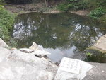 橋旁有水池, 池中好多錦鯉, 原來這裏是輋下村
DSC04937