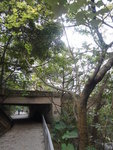 穿一隧道, 隧道頂是通往康景花園的車路 - 康柏徑
DSC06264
