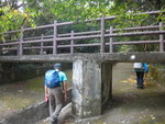 沿去水道行至一橋位, 橋面是樹木研習徑, 大隊橋下穿過
DSC06279