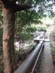 DSC06486