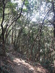 雁谷迷徑
DSC06602