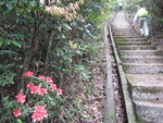 上山途中間中見到映山紅杜鵑花
IMG_0691