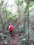 孖崗山北峰東脊林中路落坳
IMG_0704