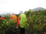 到第一個山頭後便轉左落山
IMG_0718
