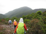 往老虎山途中右望見孖崗山
IMG_0722