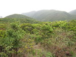 老虎山在前, 右邊應該是馬坑山
IMG_0723