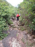 下降孖崗山南峰南坑, 終於出林接開揚澗道
IMG_0832