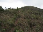 回望大菴山頂
IMG_1500